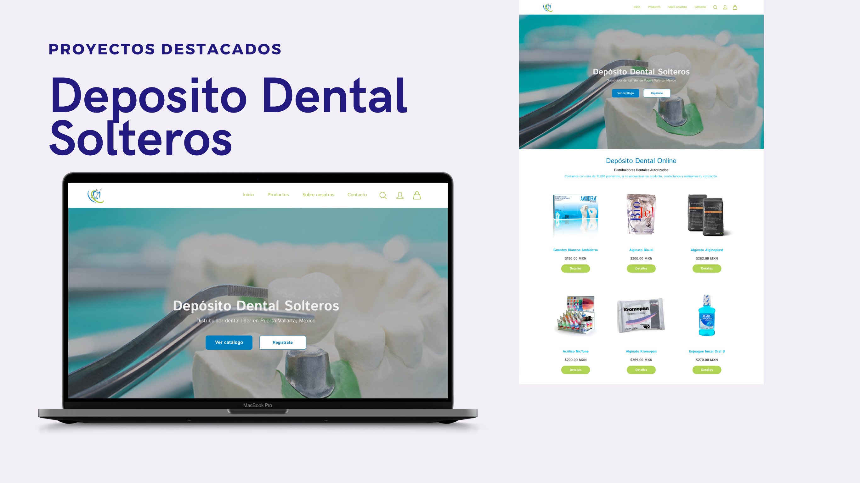 Diseño Web de DDS
